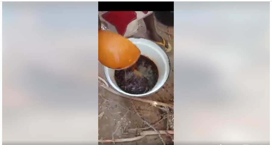 Training Women Farmers in Niger State